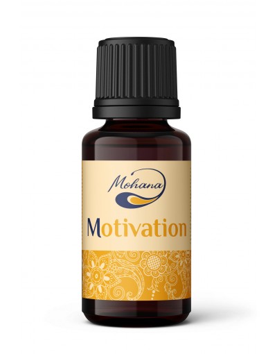 Арома бленд "Мотивация"